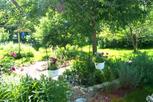 Lori's Garden